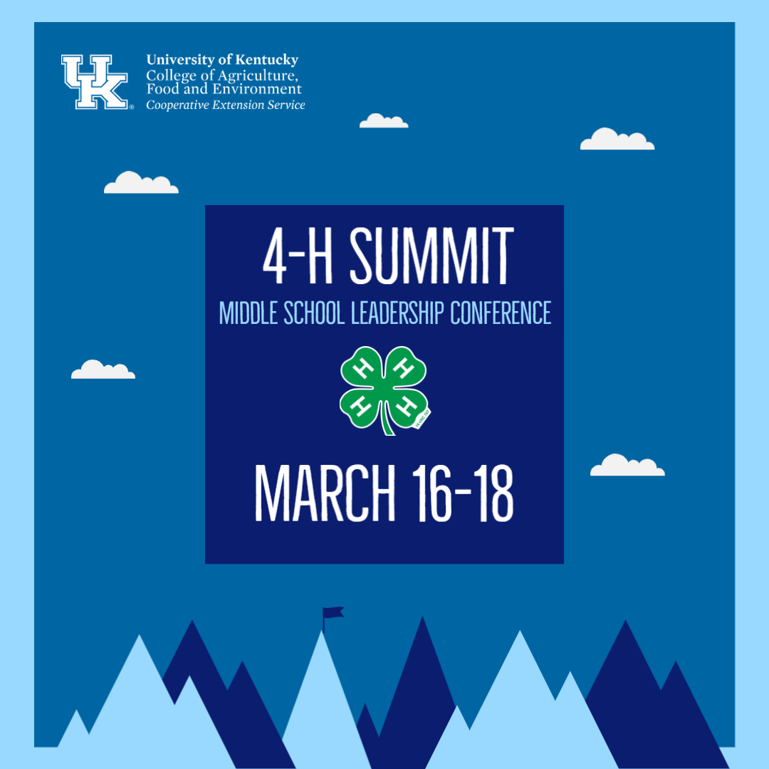 Flyer for 4-H Summit