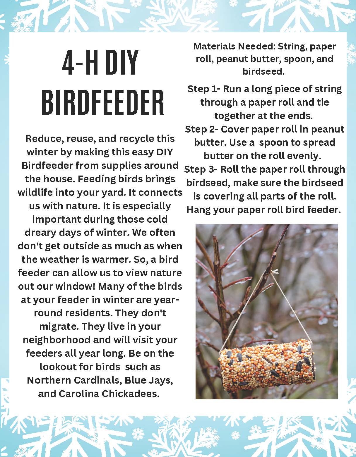 DIY Bird Feeder instructions and information