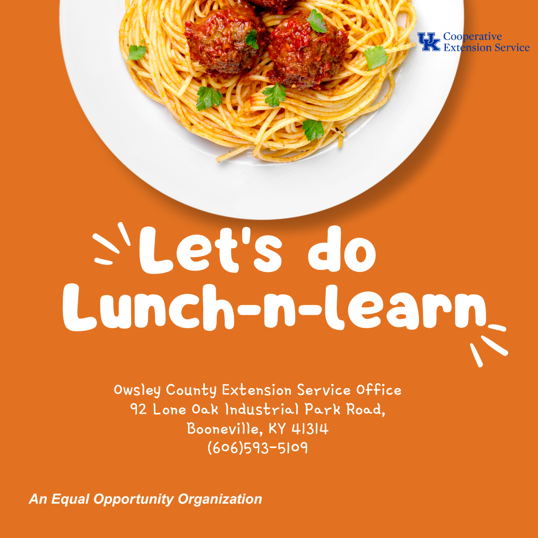 Lunch-n-Learn flyer