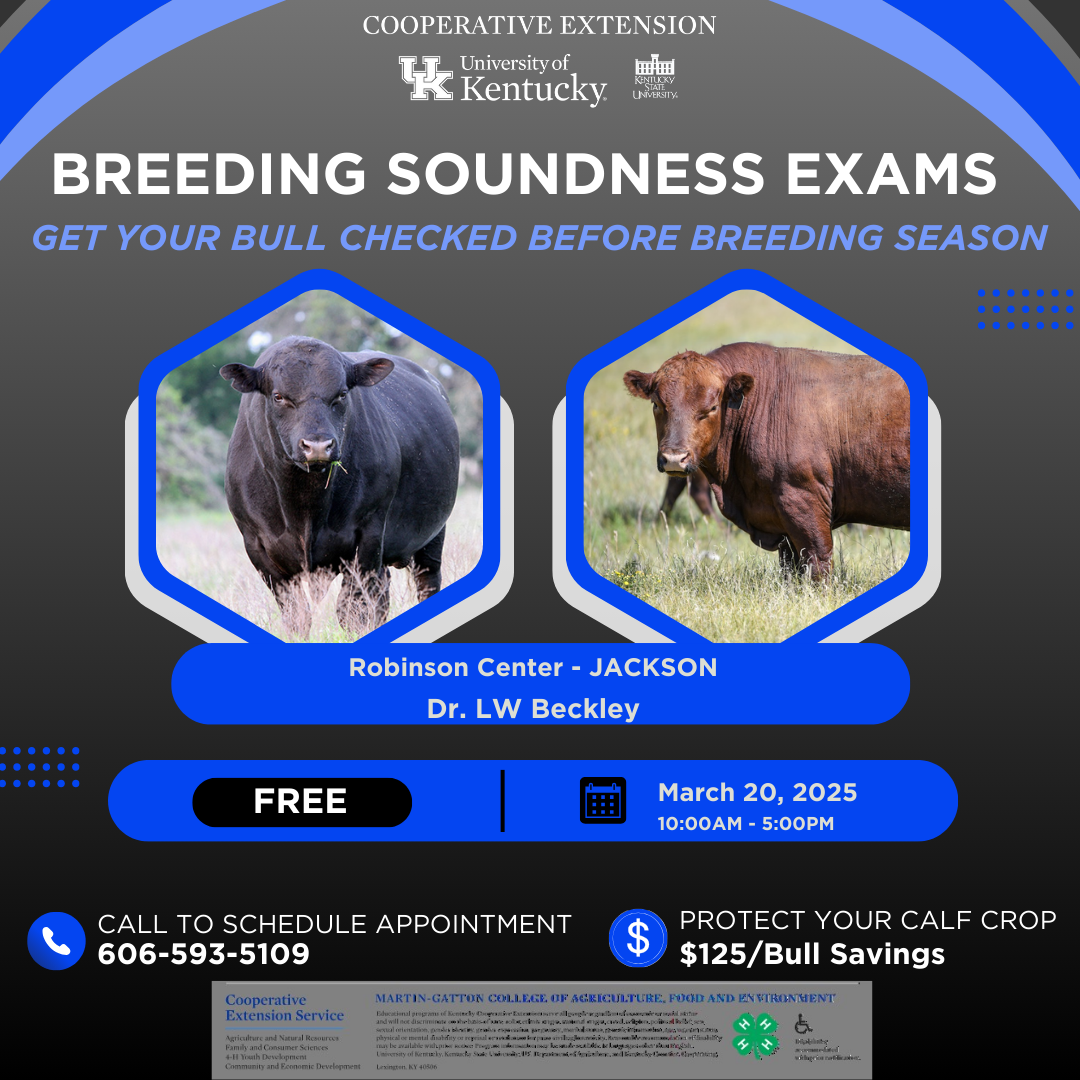 Breeding Soundness Exam Flyer