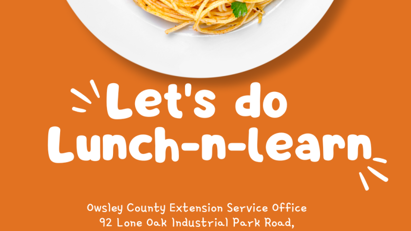 Lunch-n-Learn flyer