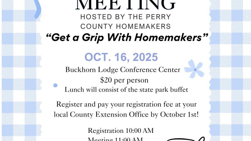 Quicksand Area Homemaker Meeting flyer